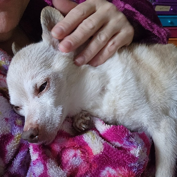 Meet your Posher, Stefie๐ฆ๐๐ฆ - Picture 7 of 9